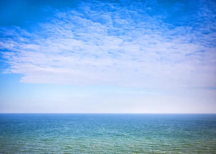 Arcadia Terrace * Odessa